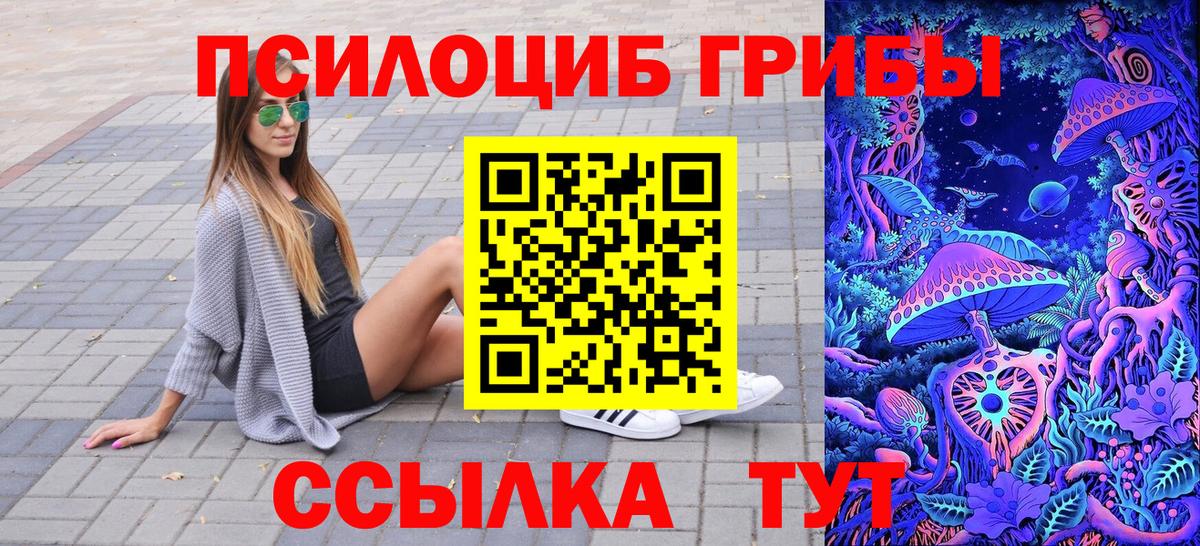 Галлюциногенные грибы GOLDEN TEACHER  Вход с VPN  Камышин 